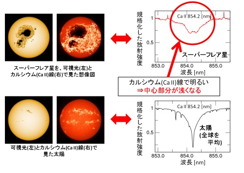 (左)可視光線と電離カルシウム(Ca II)線で見た太陽の観測画像、およびスーパーフレア星を可視光線とCa II線で見た場合の想像図。(右)電離カルシウムの吸収線 (左)可視光線と電離カルシウム(Ca II)線で見た太陽の観測画像と、スーパーフレア星における同様の観測の想像図。(右)電離カルシウムの吸収線