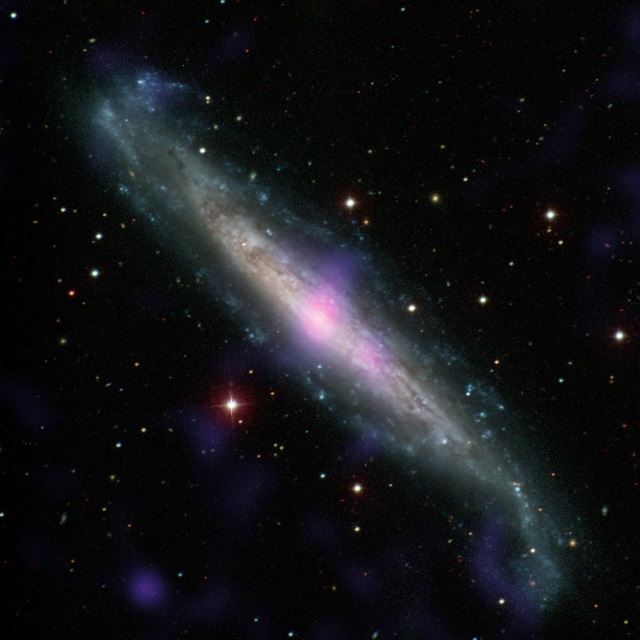 NGC 1448 NGC 1448