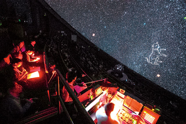 おおいぬ座の投影 おおいぬ座の投影