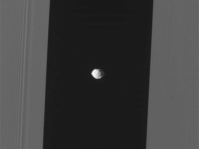 エンケの間隙と衛星パン エンケの間隙と衛星パン