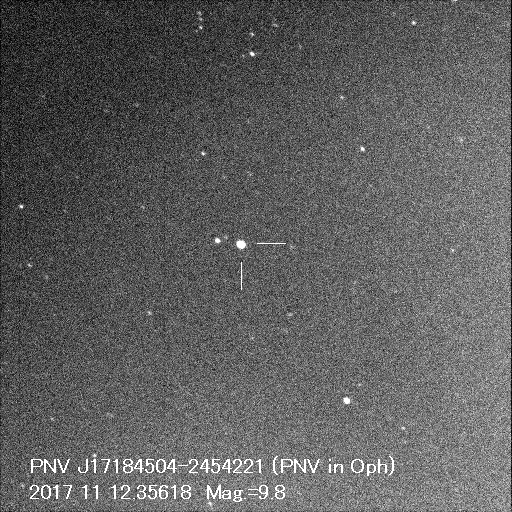 野口さん撮影の新星 野口さん撮影の新星