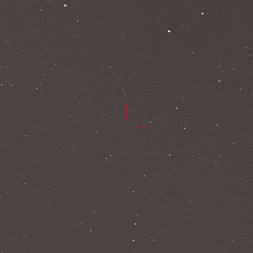 いて座の新星(西村さん) いて座の新星(西村さん)