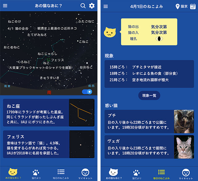 「星空ニャビ」画面