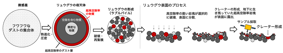 リュウグウの形成と表面で起こったプロセスの概念図 リュウグウの形成と表面で起こったプロセスの概念図