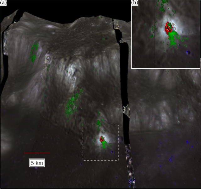 共存サイトの例 共存サイトの例