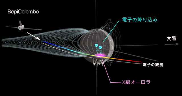 今回の研究の模式図 今回の研究の模式図