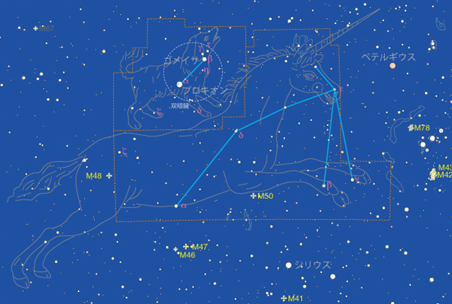 こいぬ座 こいぬ座