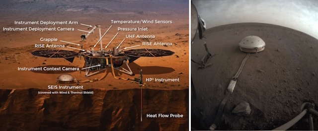 インサイト インサイト