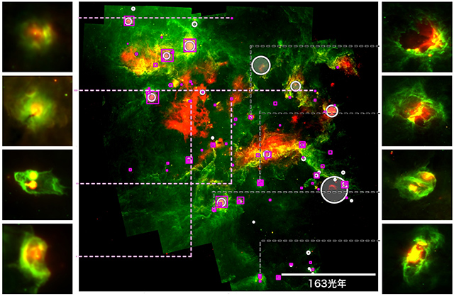 はくちょう座X領域のバブル構造