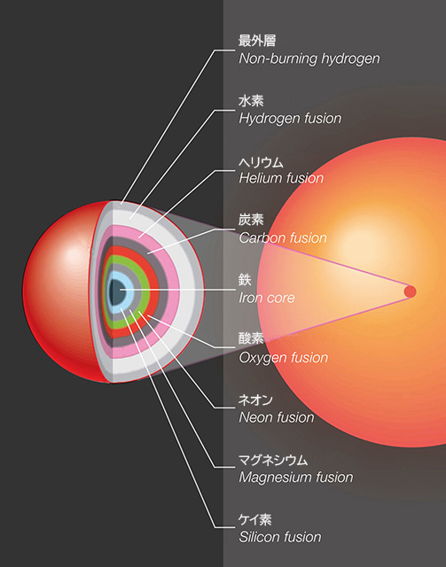 赤色巨星内部の玉ねぎ構造