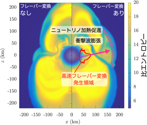 比エントロピーの分布
