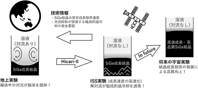 今回の研究成果の概念図