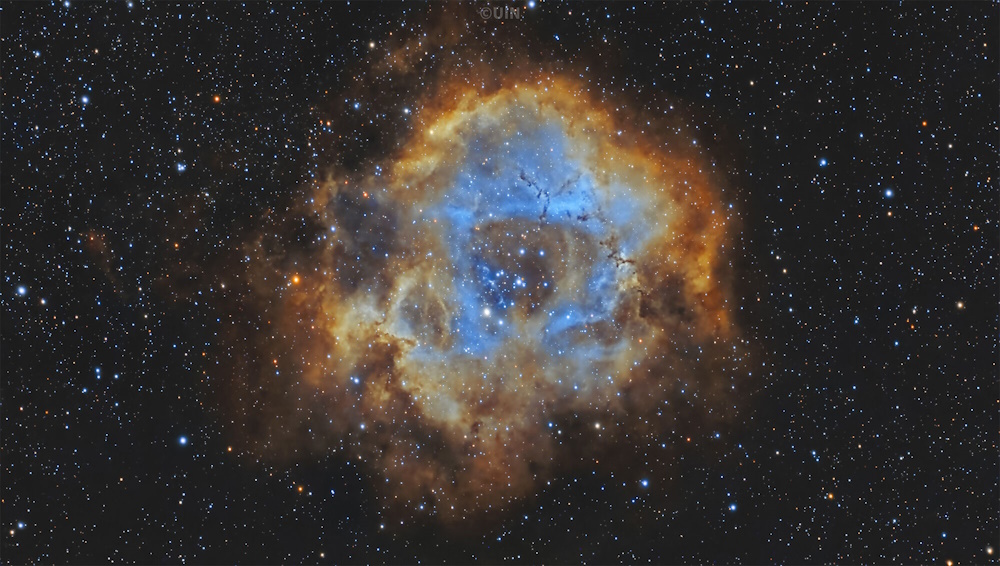 作例「ばら星雲（NGC 2237）」