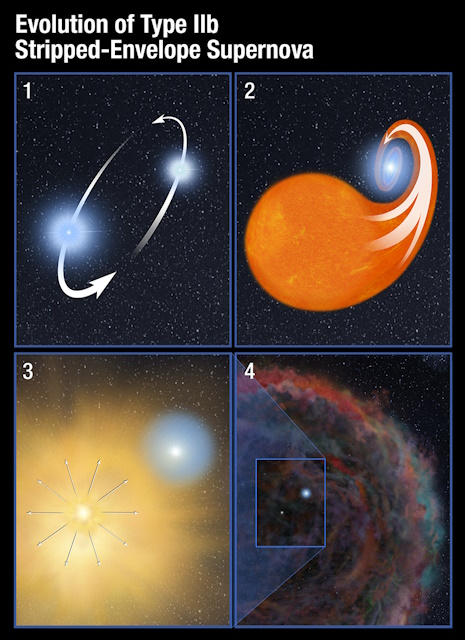 IIb型の超新星爆発の概念図