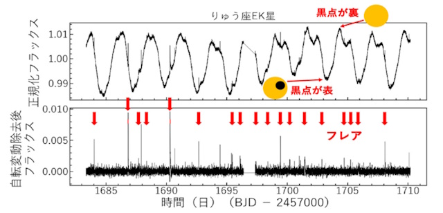 りゅう座EK星の明るさの変化