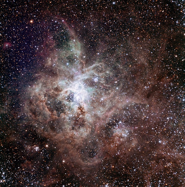 かじき座30（タランチュラ星雲）