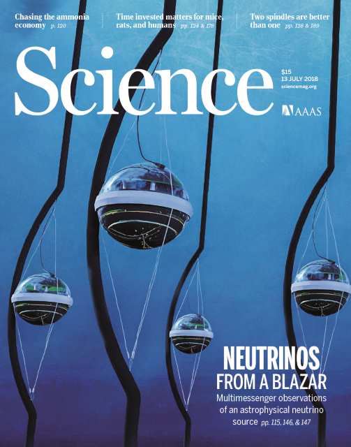 雑誌「Science」の表紙