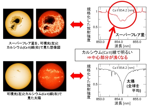 （左）可視光線と電離カルシウム（Ca II）線で見た太陽の観測画像と、スーパーフレア星における同様の観測の想像図。（右）電離カルシウムの吸収線