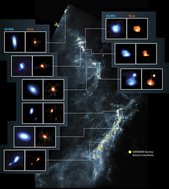 オリオン座分子雲とVANDAMサーベイの観測天体