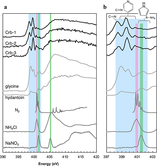 窒素XANESスペクトルの一部と有機物ピーク付近の拡大図