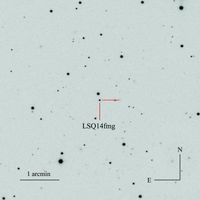 超新星LSQ14fmg