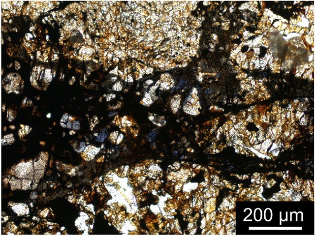 テンハム隕石の光学顕微鏡写真