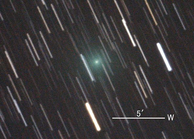 岩本彗星（C/2020 A2）