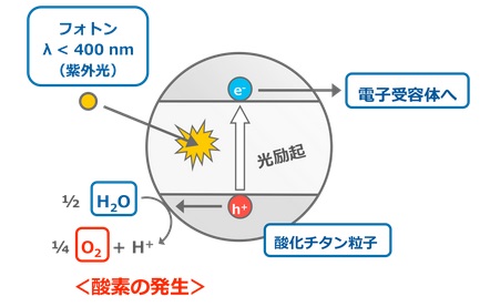 酸化チタンの光触媒反応