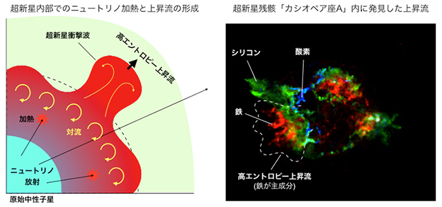 超新星内部での上昇流形成プロセスのイラストとカシオペヤ座AのX線画像