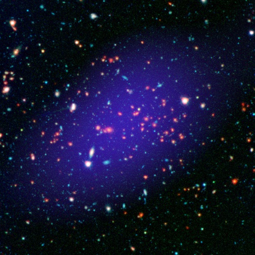 銀河団「MOO J1142+1527」の画像
