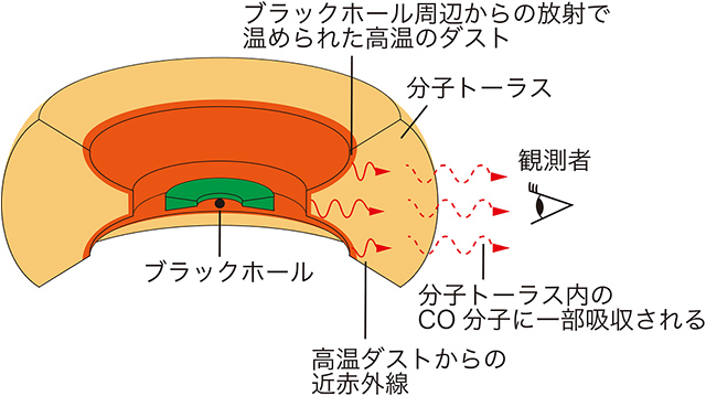 分子トーラス内の一酸化炭素ガスによる近赤外線吸収の概念図