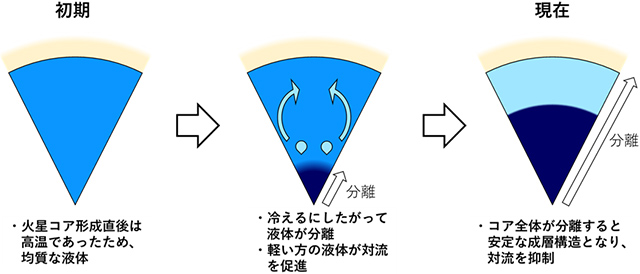 コアの対流の促進と抑制の概略図