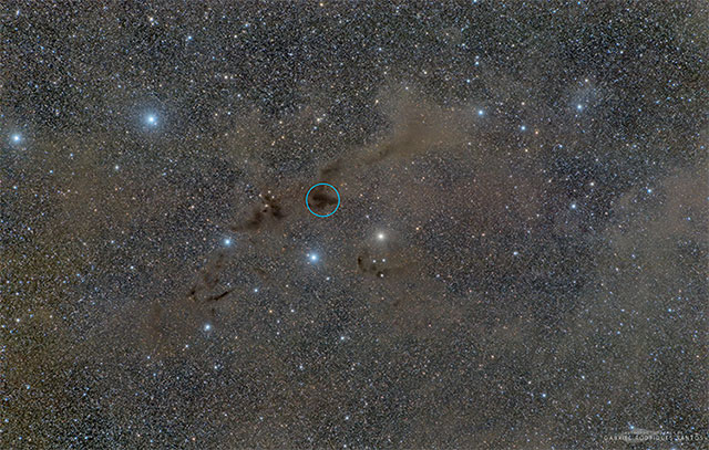 原始星IRAS 15398-3359が存在する暗黒星雲「B228」