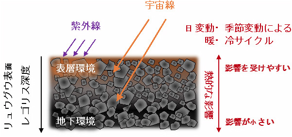 リュウグウの表層および地下環境の物理化学因子モデル