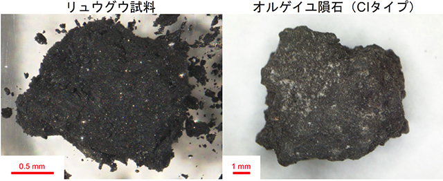 リュウグウ試料とオルゲイユ隕石