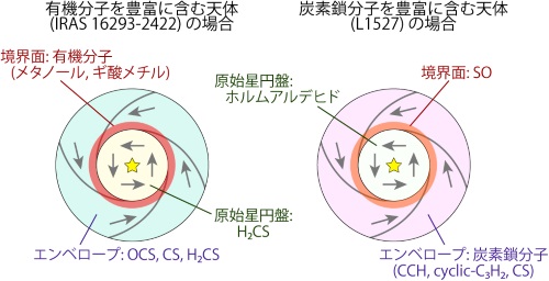 原始星付近のガスの化学組成の模式図