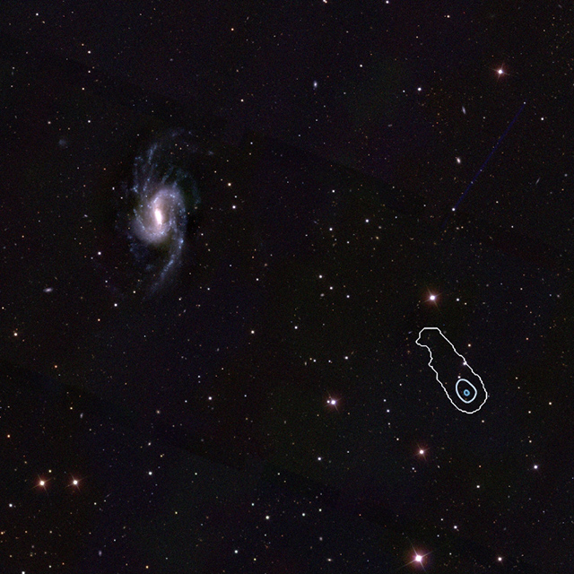 NGC 3359とこぐま銀河