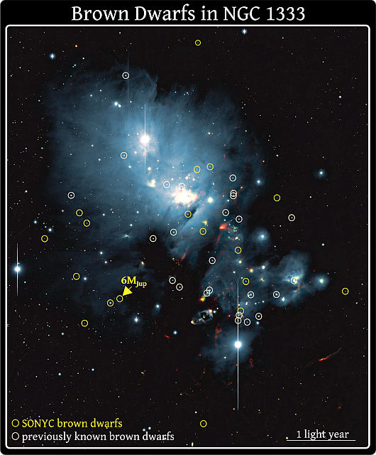 NGC 1333の褐色矮星