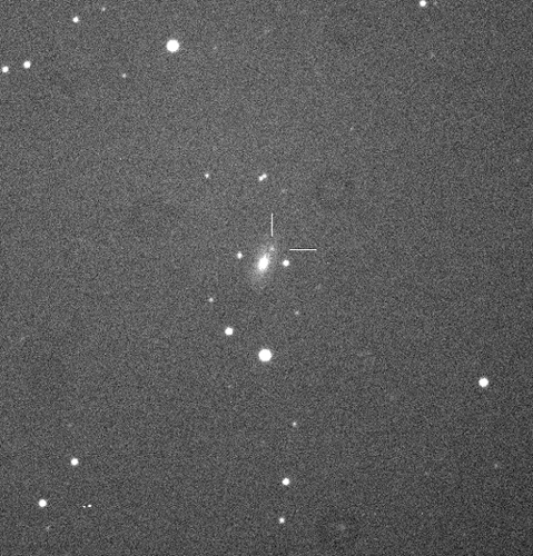 超新星2015Aの発見画像