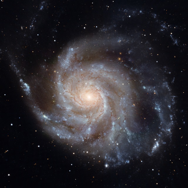 渦巻銀河「M101」
