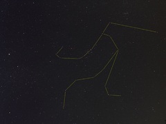 （川村晶氏撮影のペルセウス座とホームズ彗星の写真）
