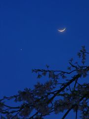 （佐藤崇氏撮影の月と金星の写真）