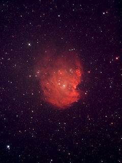 （モンキー星雲（NGC2174）の写真）