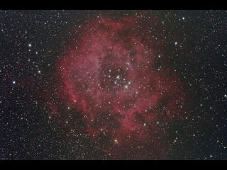 （NGC 2337の写真）