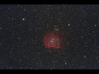 （NGC 2174の写真）