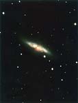 M82ƣɧʬĻԡ