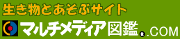 マルチメディア図鑑