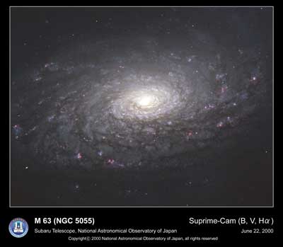 すばる望遠鏡・主焦点カメラにより撮影された渦巻き銀河M63(NGC5055)