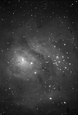 デジタル現像後の M8 の画像
