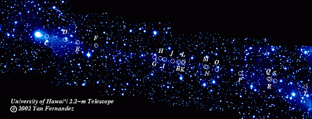 （ドゥトイト・ニェウイミン・デルポルト彗星の写真）